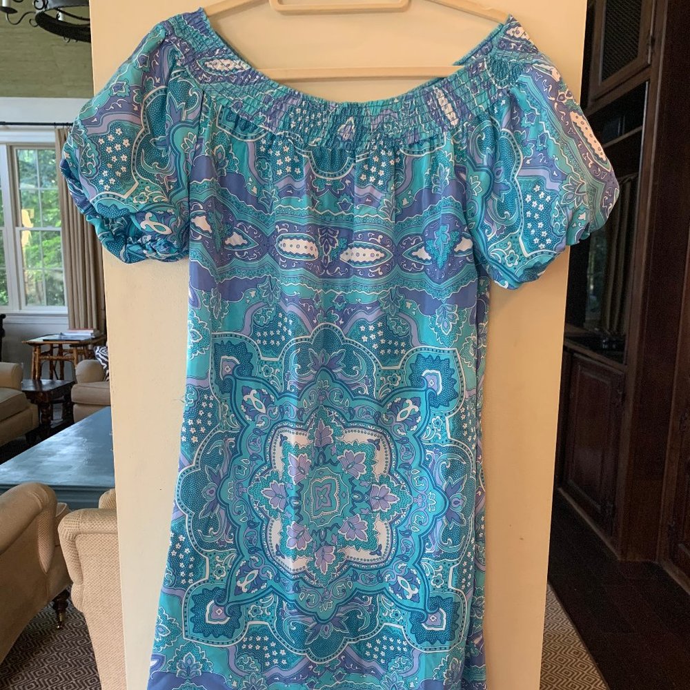 Beautiful Paisley Silk Dress